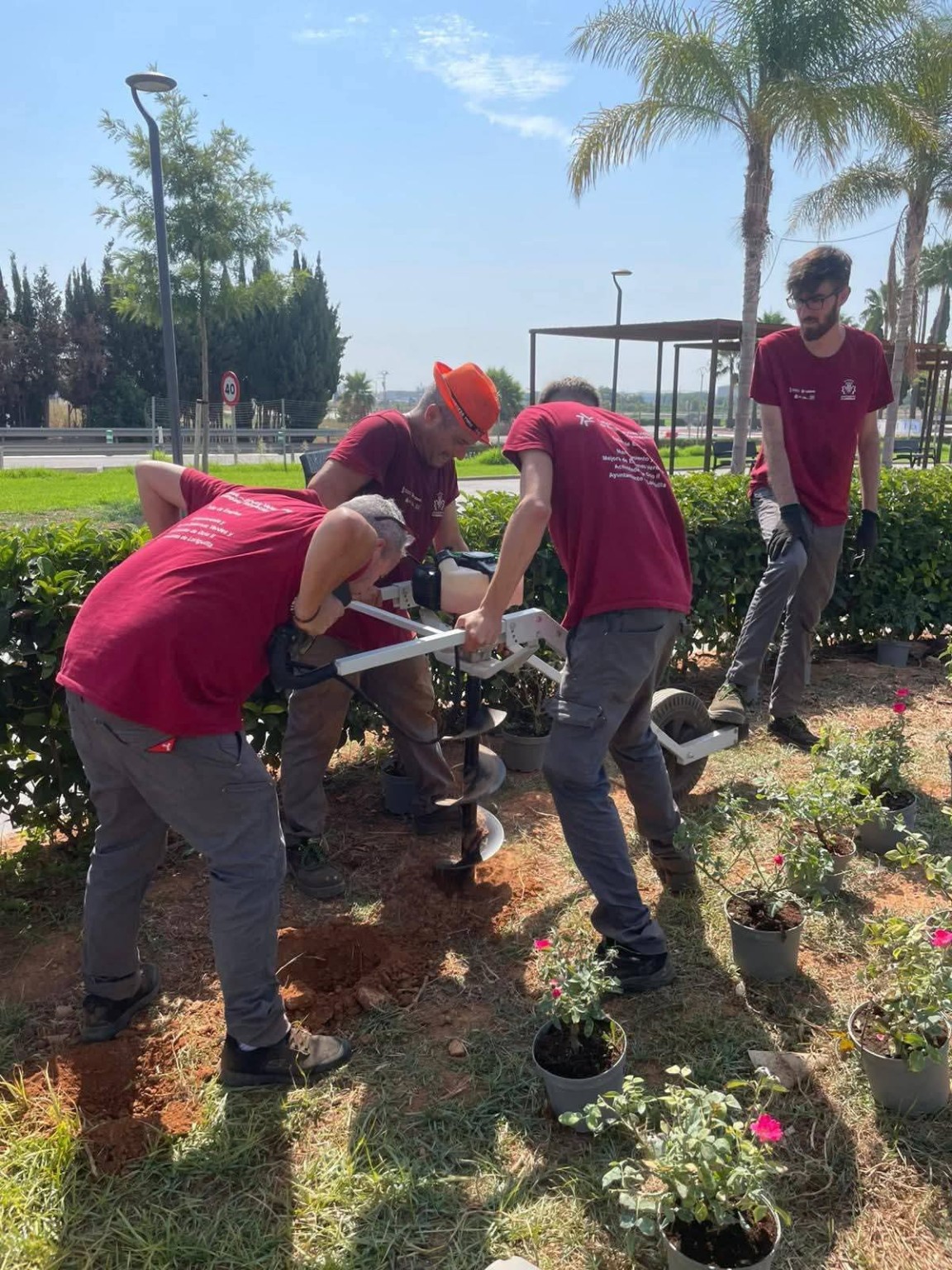 Participantes de un taller de empleo realizando trabajos de plantación en una zona ajardinada del municipio.