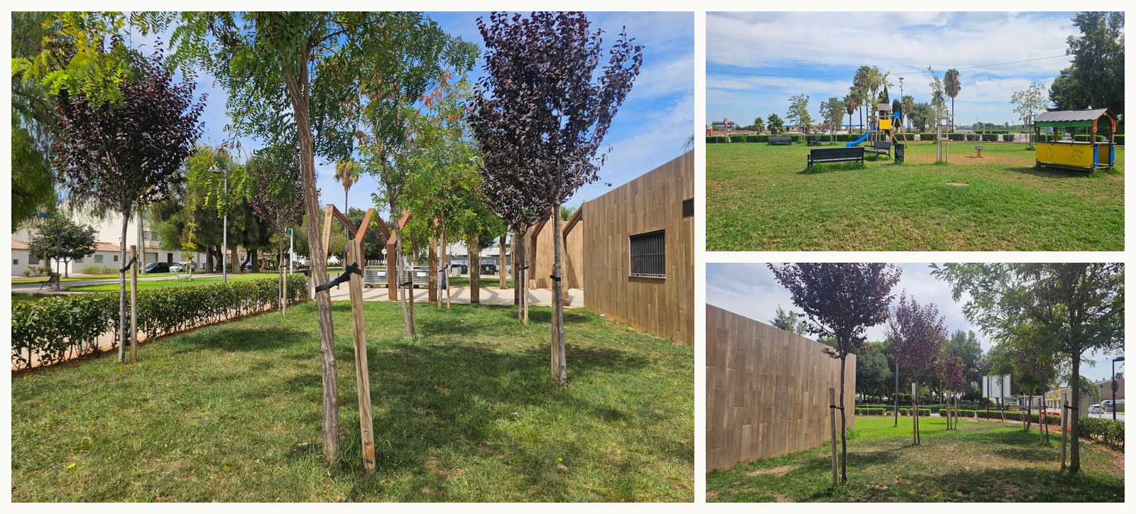Composición con nuevo arbolado con tutores y zonas verdes acondicionadas del municipio.